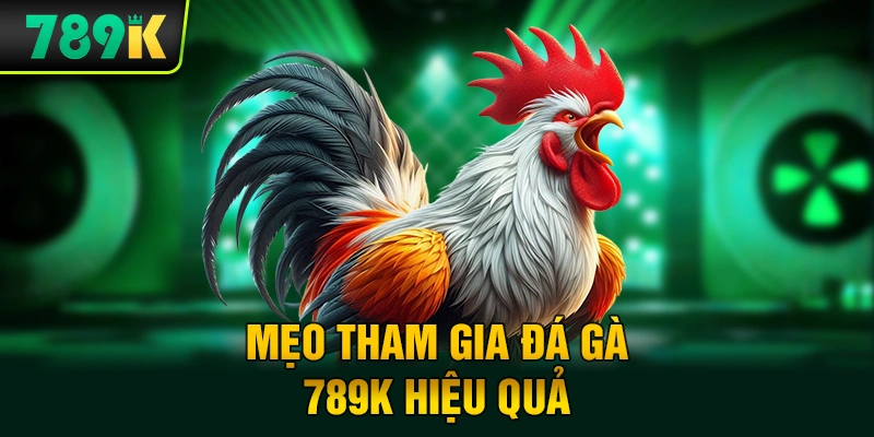 Mẹo tham gia đá gà 789K hiệu quả