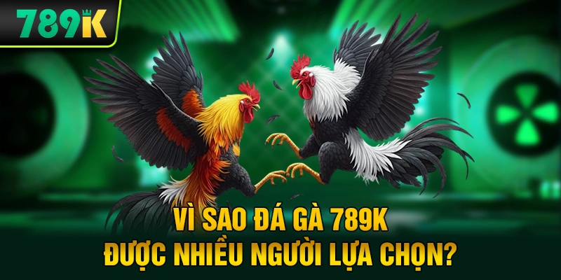 Vì sao đá gà 789K được nhiều người lựa chọn?