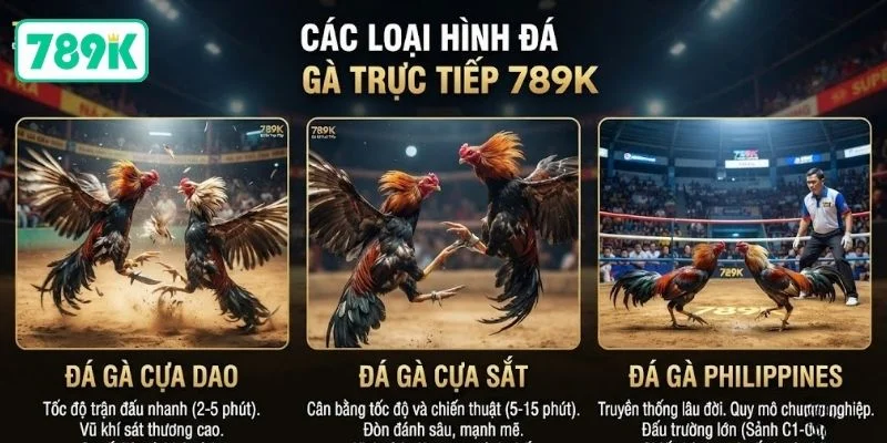 Các loại hình đá gà trực tiếp 789K
