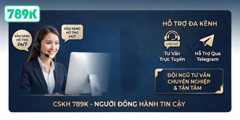 Đội ngũ hỗ trợ và tư vấn 24/7